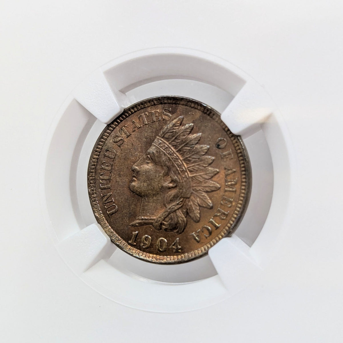 1904 NGC MS63 BN Indian Cent