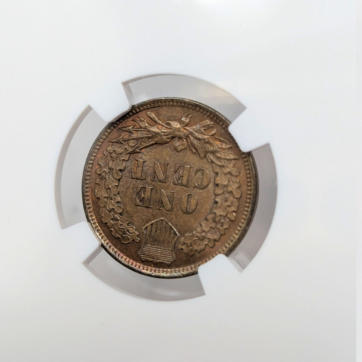 1904 NGC MS63 BN Indian Cent