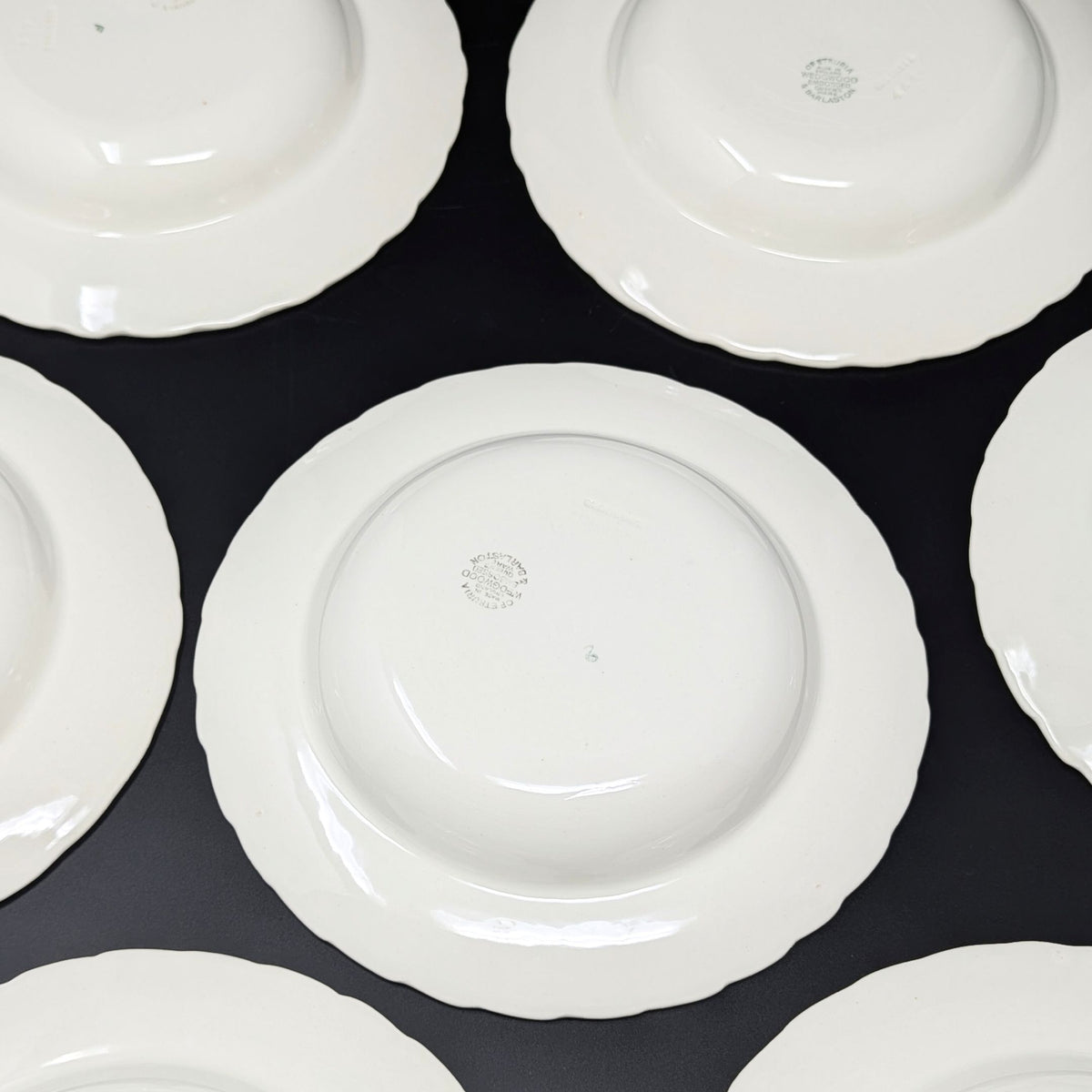 Wedgwood "Lavender on Cream" Shell Rim Soup Bowls (Set of 8)