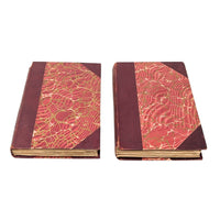 The Novels, Victor Hugo Unabridged Volumes II and III, 1892 & 1894