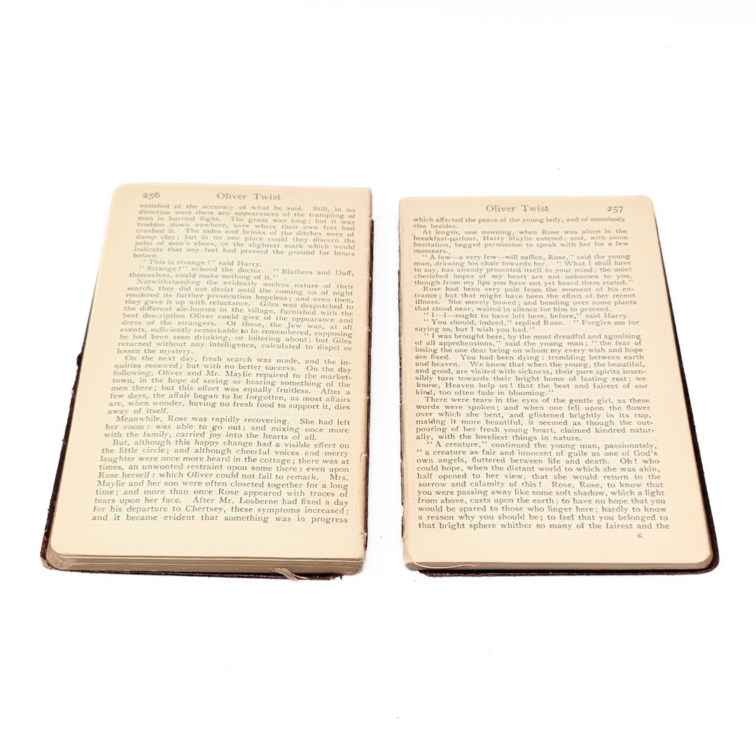 Early 20th c. "Everyman's Library" Collection, Twelve Volumes