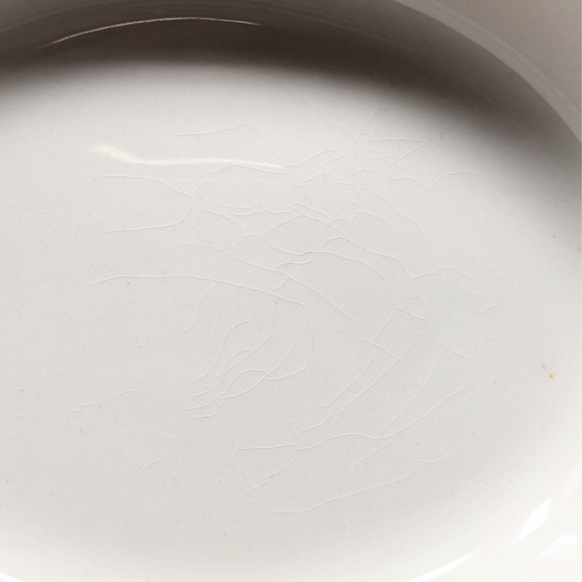 Wedgwood "Lavender on Cream" 9" Oval Vegetable/Serving Bowl