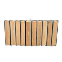 Set of Ten Novels by George MacDonald, Late 19th Century