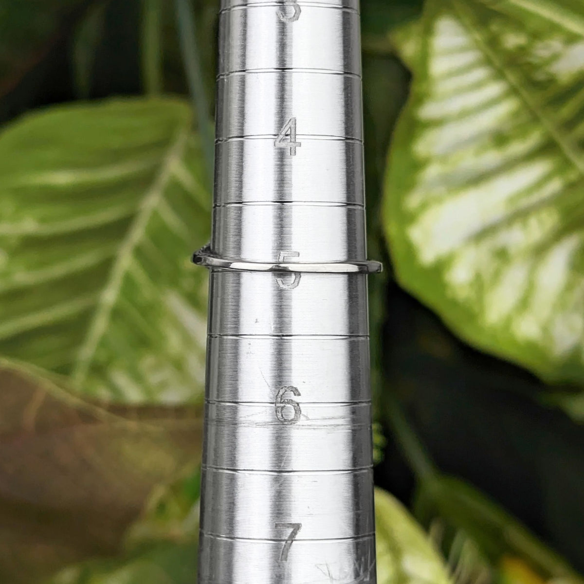 14K White Gold Aquamarine Floral Filigree Ring - Size 5