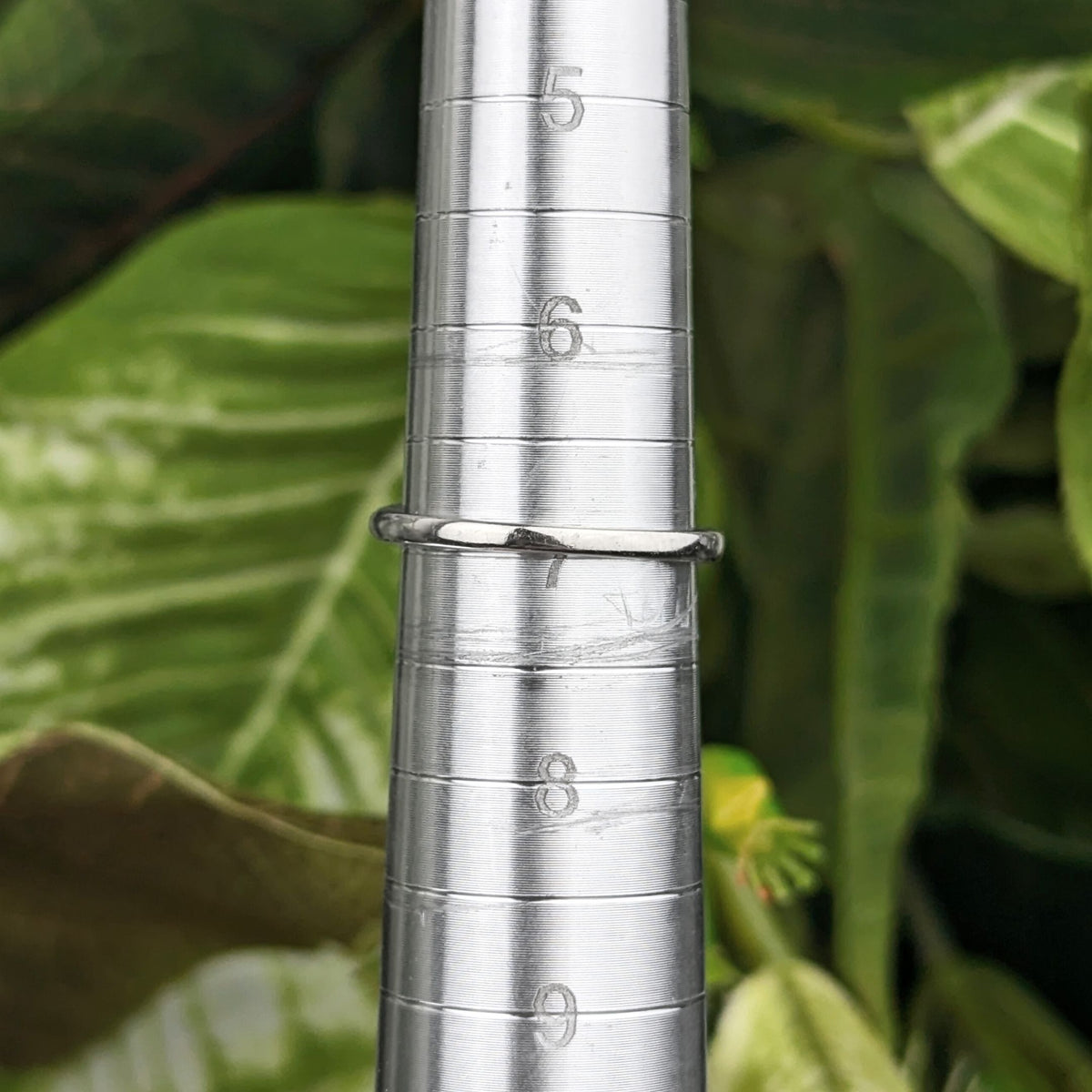 10K White Princess Cut Diamond Cluster Halo Ring - Size 7