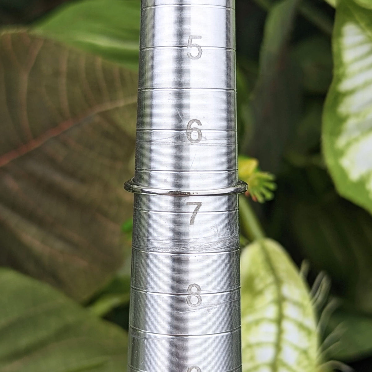 Antique 17K White Gold, Emerald, & Diamond Filigree Ring - Size 6.75