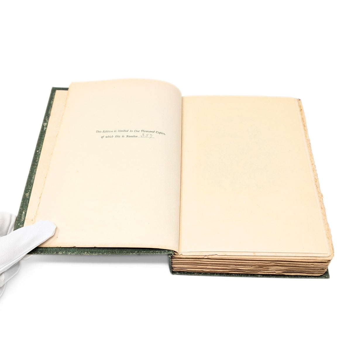 The Novels and Poems of Charles Kingsley, 1899 Limited Edition, 12 Volumes