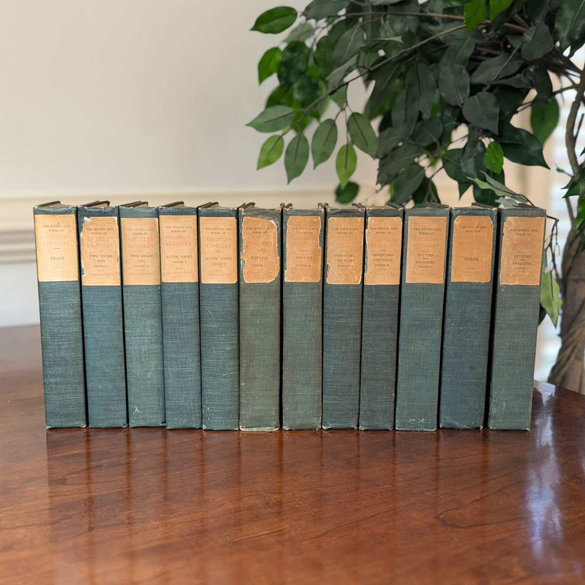 The Novels and Poems of Charles Kingsley, 1899 Limited Edition, 12 Volumes