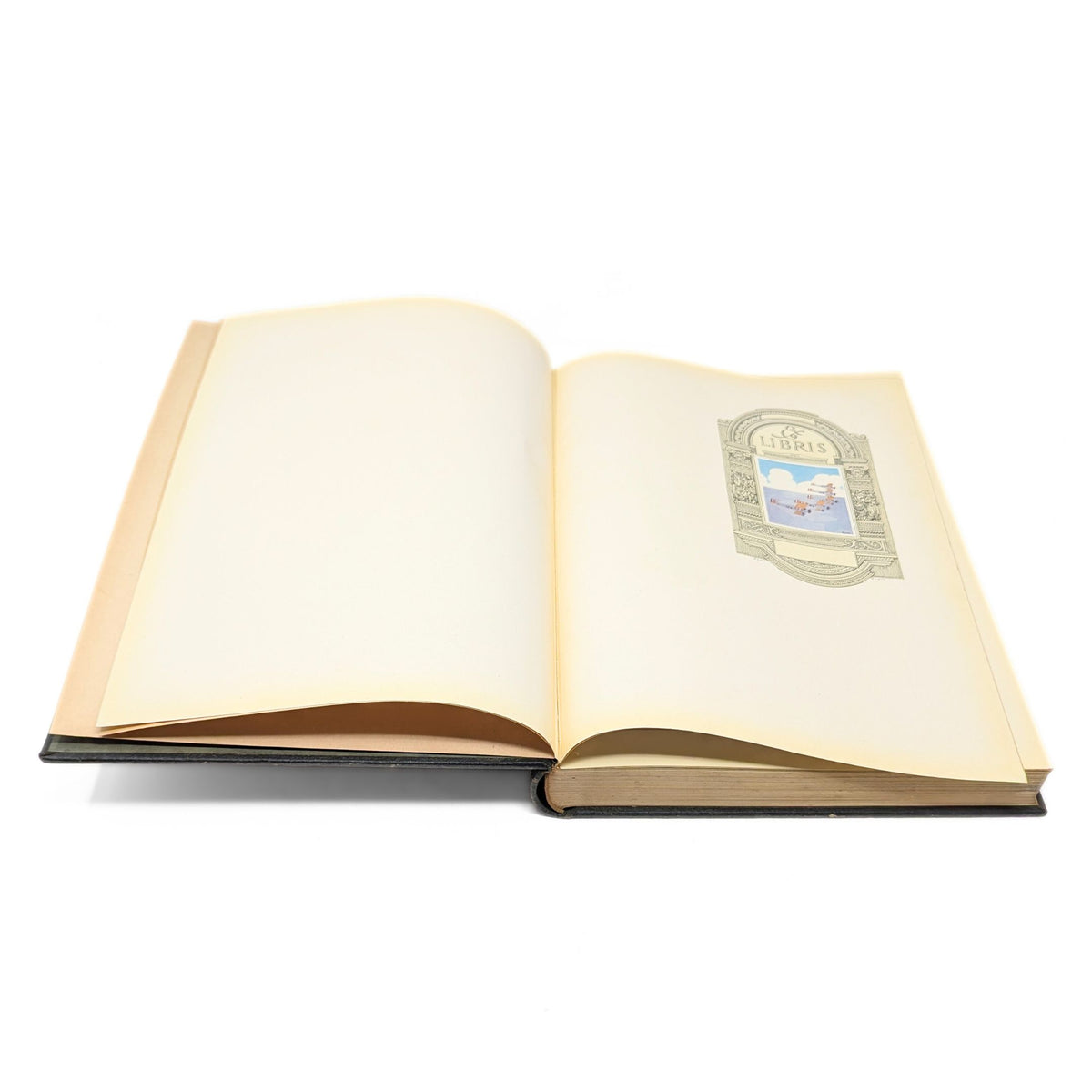 United States Naval Academy 1925 "Lucky Bag" Yearbook