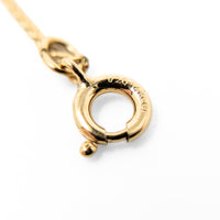 Binder/Bliss Bros Antique Gold Filled Monogrammed Photo Locket Necklace