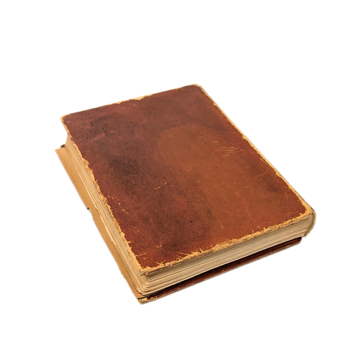 Le Bois du Templier Pendu by Henri Beraud, 1928, Illustrated by René Ben Sussan