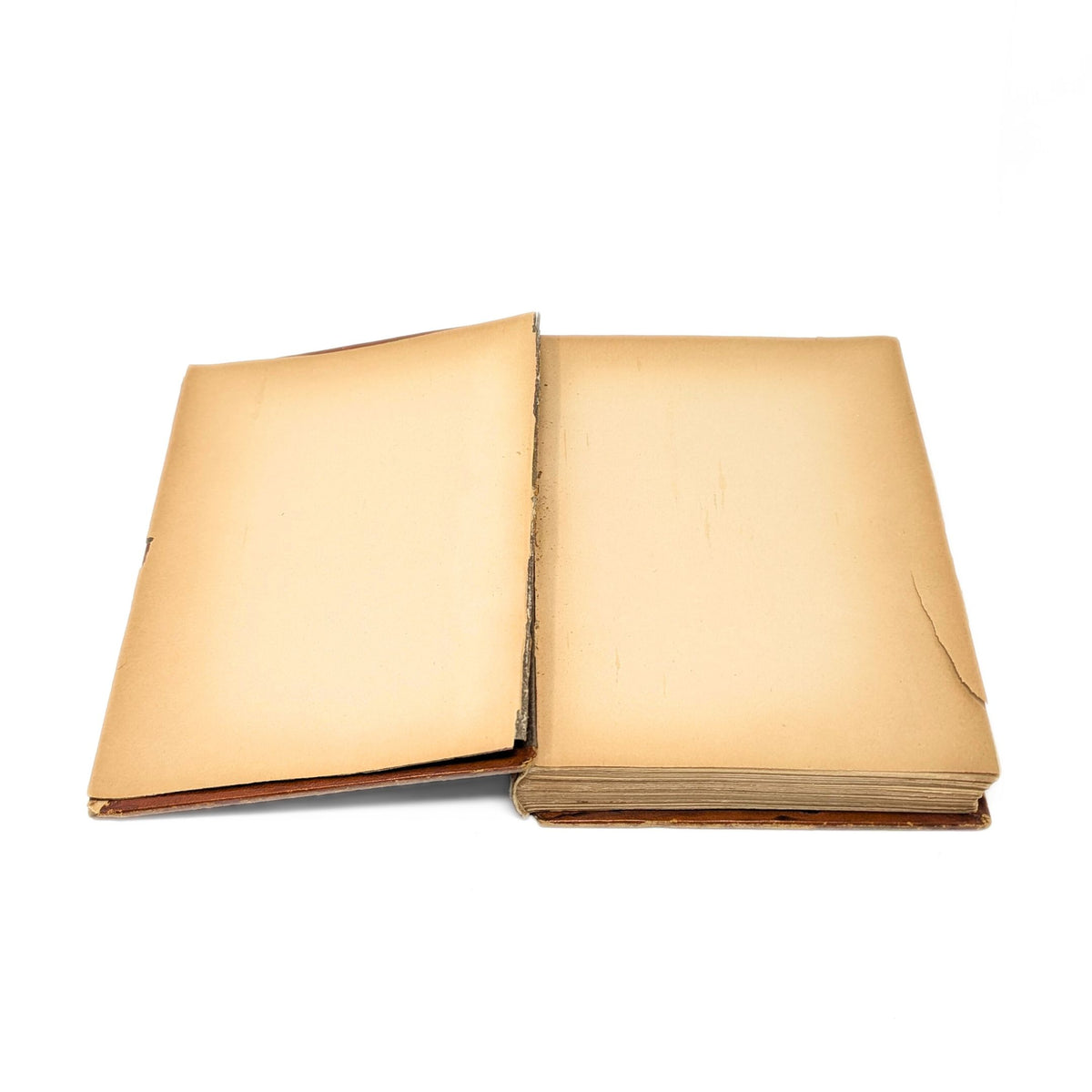 Le Bois du Templier Pendu by Henri Beraud, 1928, Illustrated by René Ben Sussan