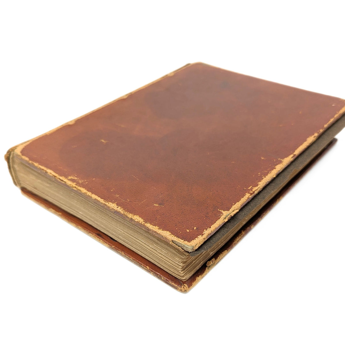 Le Bois du Templier Pendu by Henri Beraud, 1928, Illustrated by René Ben Sussan