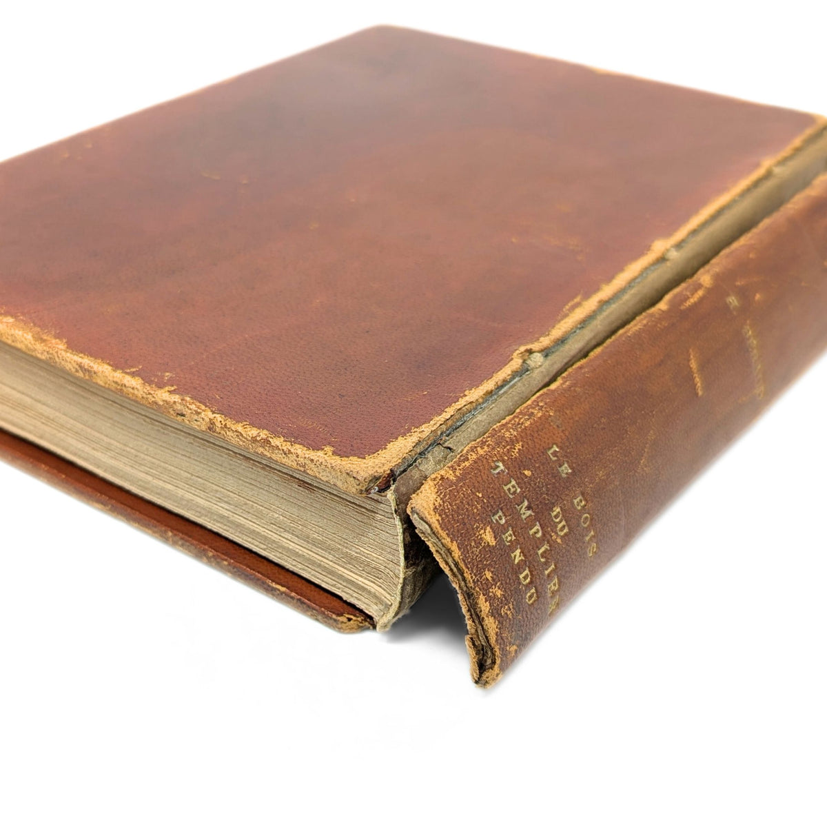 Le Bois du Templier Pendu by Henri Beraud, 1928, Illustrated by René Ben Sussan