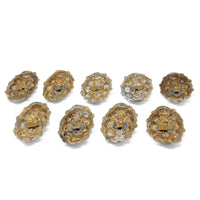 Antique French Bronze Ormolu Baroque Curtain Tiebacks (9)