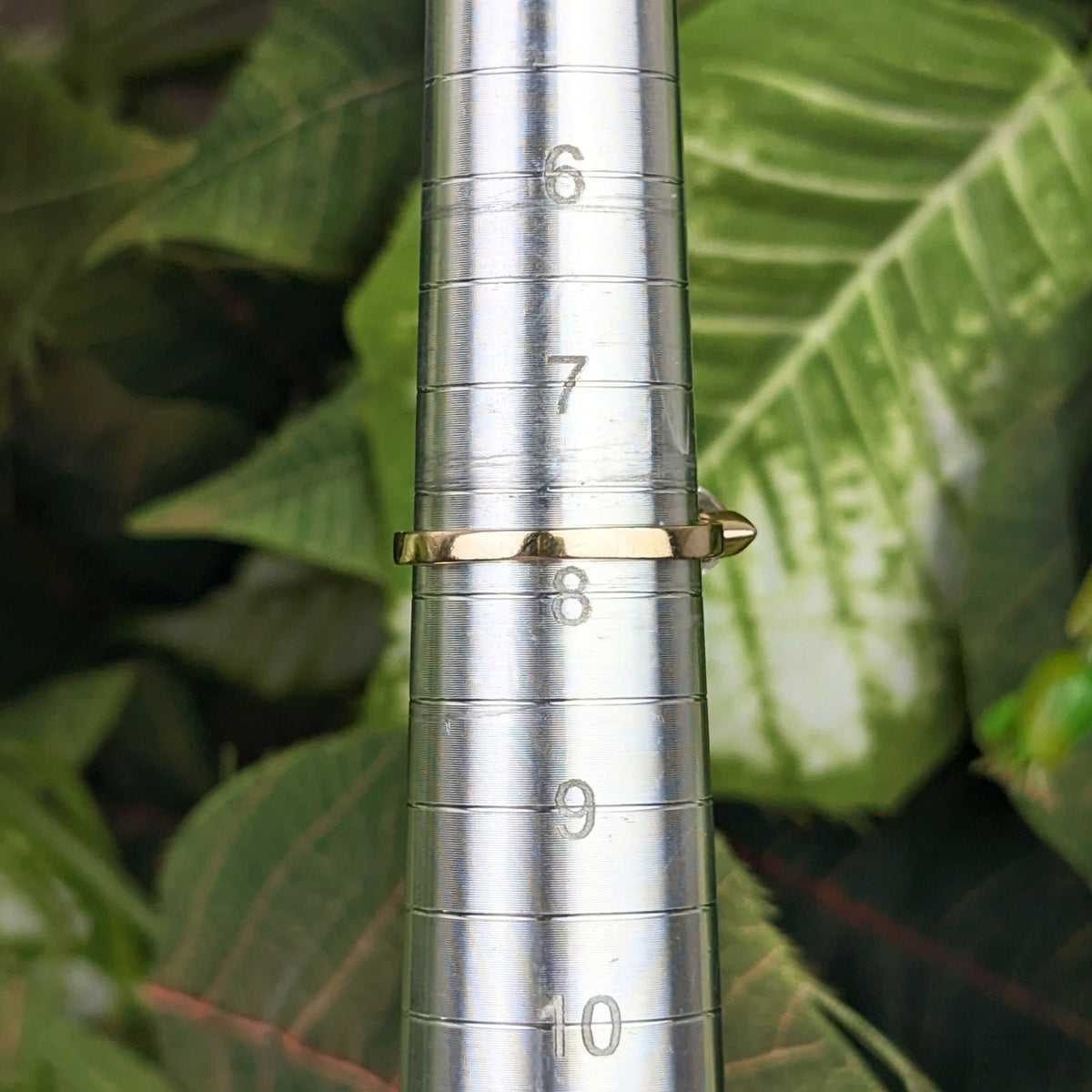 14K Gold White Gemstone Cocktail Ring - Size 7.75