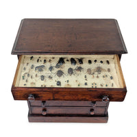 Antique 6-Drawer Entomology/Insect Cabinet & Collection