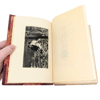 Les Misérables by Victor Hugo 1893, 10-Volume Book Set