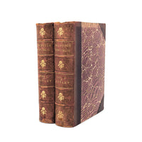 The Rise of the Dutch Republic by John Lothrop Motley, 2 Volumes