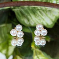 14K Gold Triple Pearl Earrings