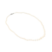 10K Gold 17” Graduated Pearl Necklace