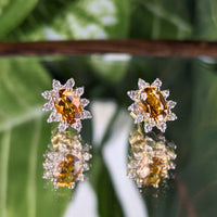 14K White Gold Honey Citrine Diamond Halo Stud Earrings Capri Jewelers Box
