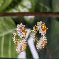 14K White Gold Honey Citrine Diamond Halo Stud Earrings Capri Jewelers Box