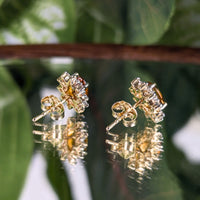 14K White Gold Honey Citrine Diamond Halo Stud Earrings Capri Jewelers Box