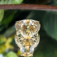 10K Gold Citrine Ring - Size 6