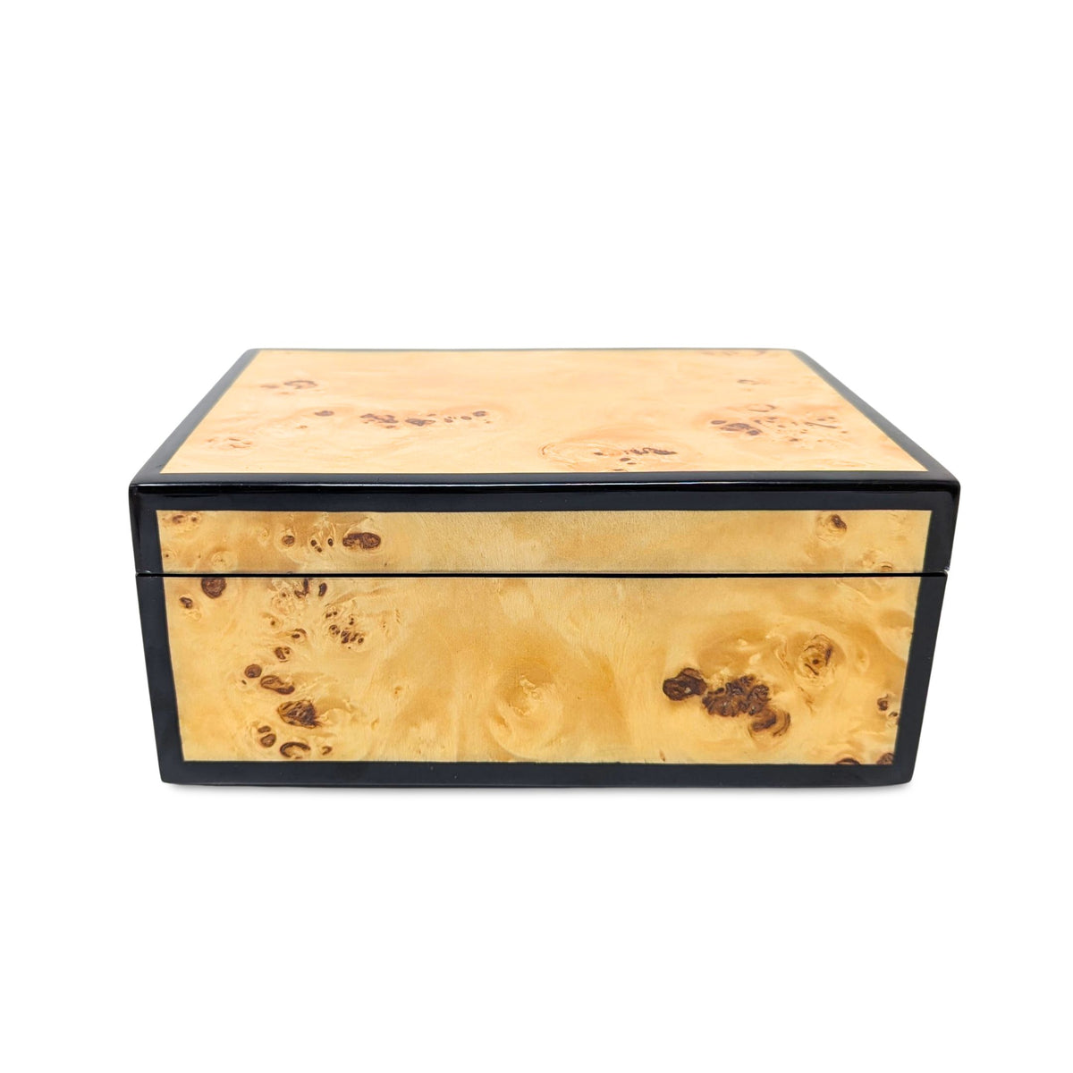 Pacific Connections Mappa Burl Lacquered Medium Box