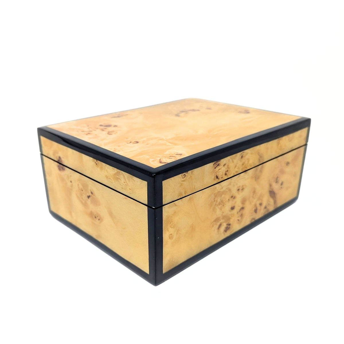 Pacific Connections Mappa Burl Lacquered Medium Box