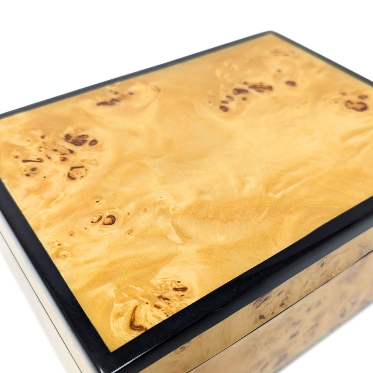 Pacific Connections Mappa Burl Lacquered Medium Box