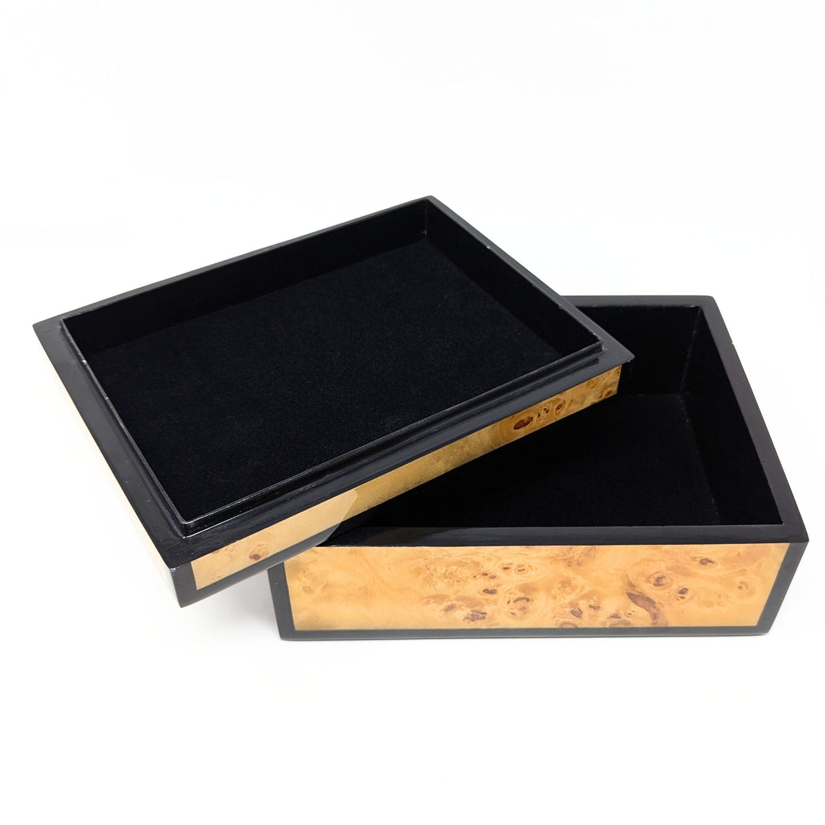 Pacific Connections Mappa Burl Lacquered Medium Box