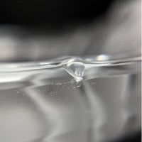 Lalique France Signed Nancy Frosted Crystal Ashtray/Bowl