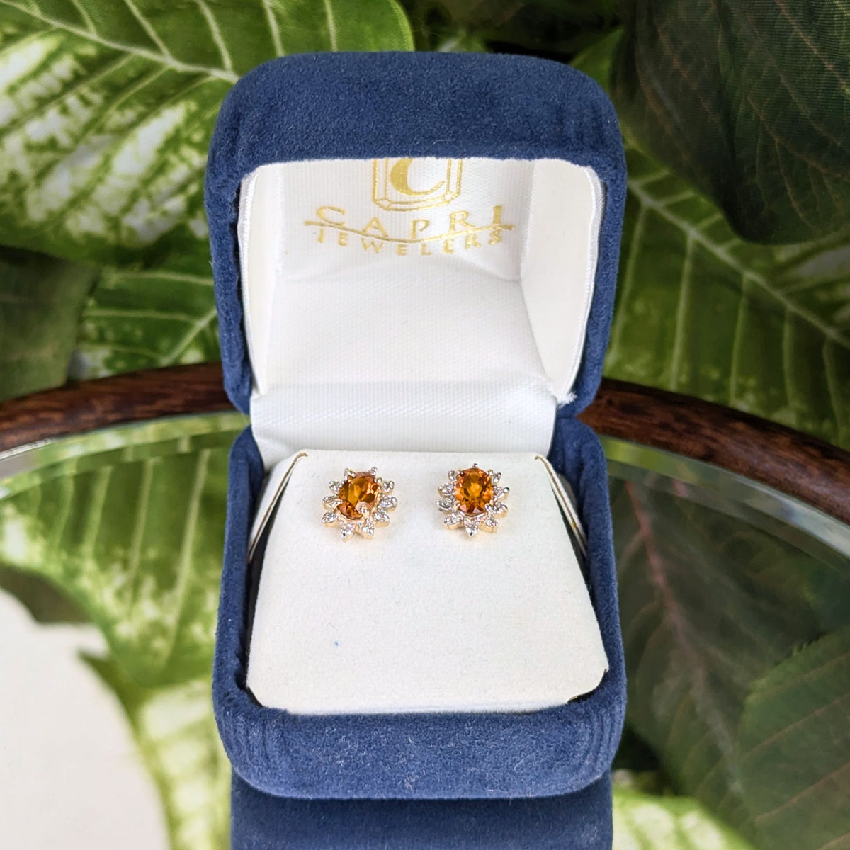 14K White Gold Honey Citrine Diamond Halo Stud Earrings Capri Jewelers Box