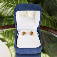 14K White Gold Honey Citrine Diamond Halo Stud Earrings Capri Jewelers Box