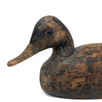 Antique 1910s Solid Wood Duck Decoy, Mathews County VA Farm Estate