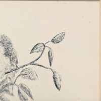 Framed Original Pen & Ink Drawing, Signed