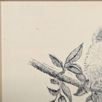 Framed Original Pen & Ink Drawing, Signed