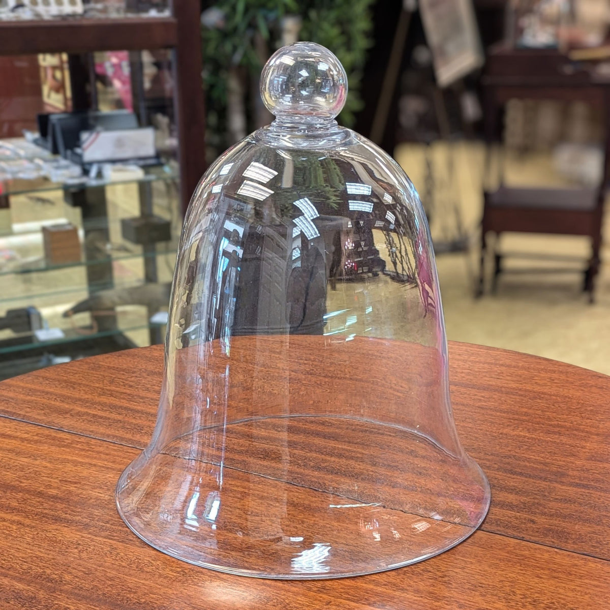 Antique 16" Hand Blown Flared Glass Cloche / Bell Jar, Devitrification Starburst